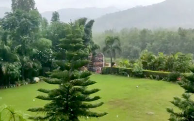 Corbett Jungle Treasure 