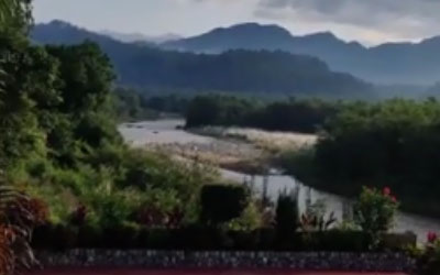 Corbett Jungle Treasure 